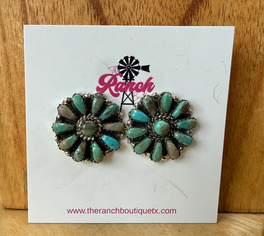 Dark Turquoise JW Clusters