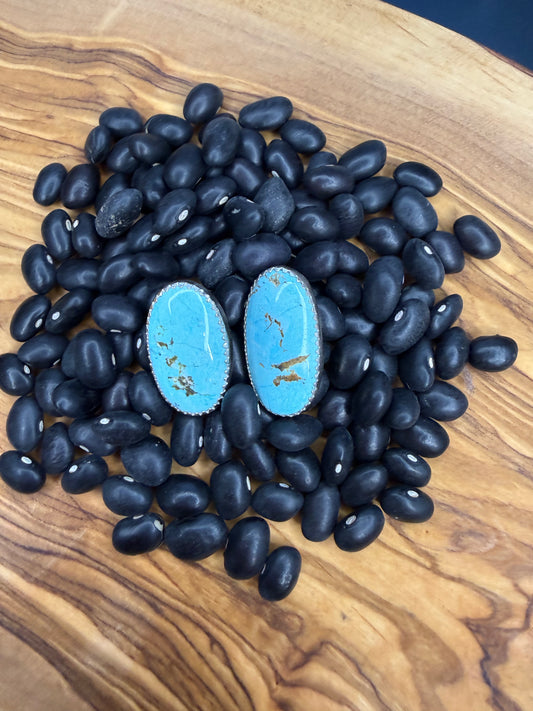 Robin Egg Oval Turquoise Stud